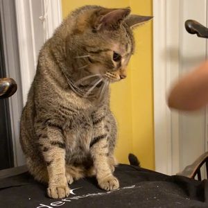 Meet your Posher, Jack